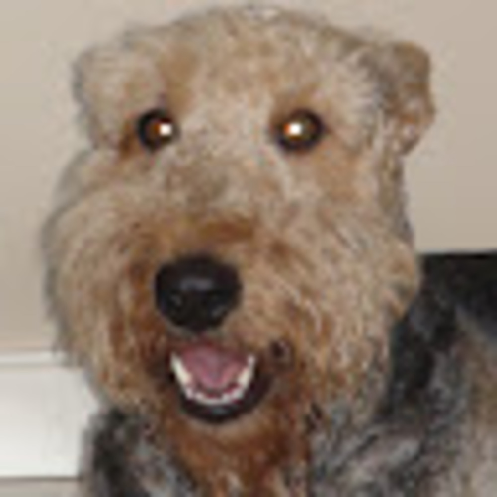 Meet your Posher, Margie